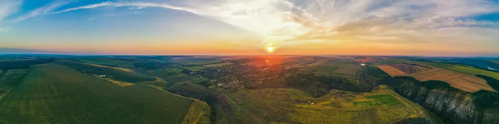 Driving Cure / Ab Trainer